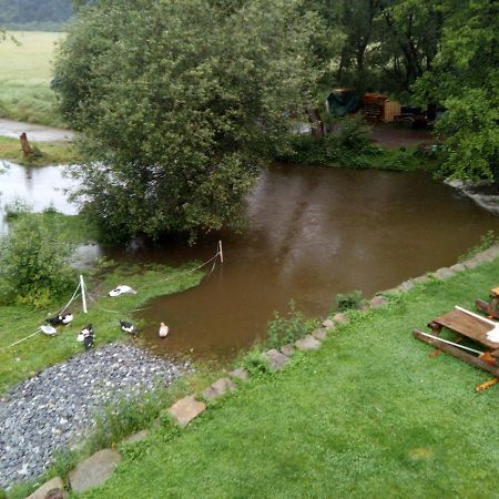 Biofarma Dolejsi Mlyn Villa Kamberk Buitenkant foto