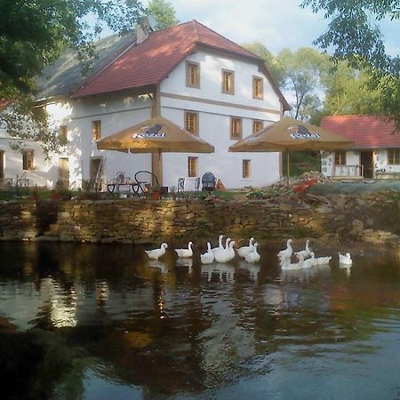 Biofarma Dolejsi Mlyn Villa Kamberk Buitenkant foto