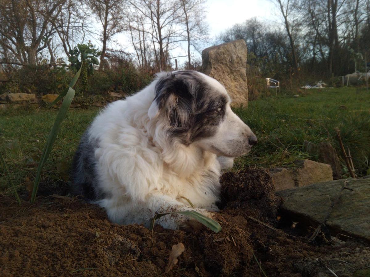 Biofarma Dolejsi Mlyn Villa Kamberk Buitenkant foto