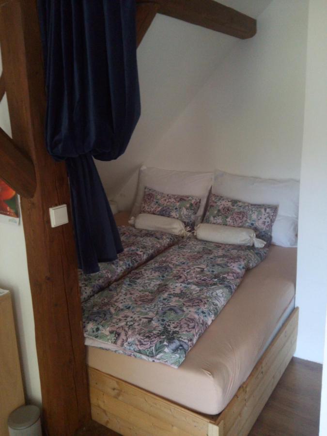 Biofarma Dolejsi Mlyn Villa Kamberk Buitenkant foto