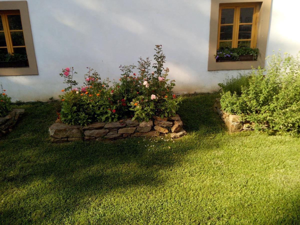 Biofarma Dolejsi Mlyn Villa Kamberk Buitenkant foto