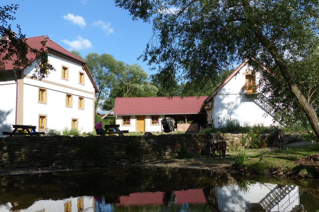 Biofarma Dolejsi Mlyn Villa Kamberk Buitenkant foto