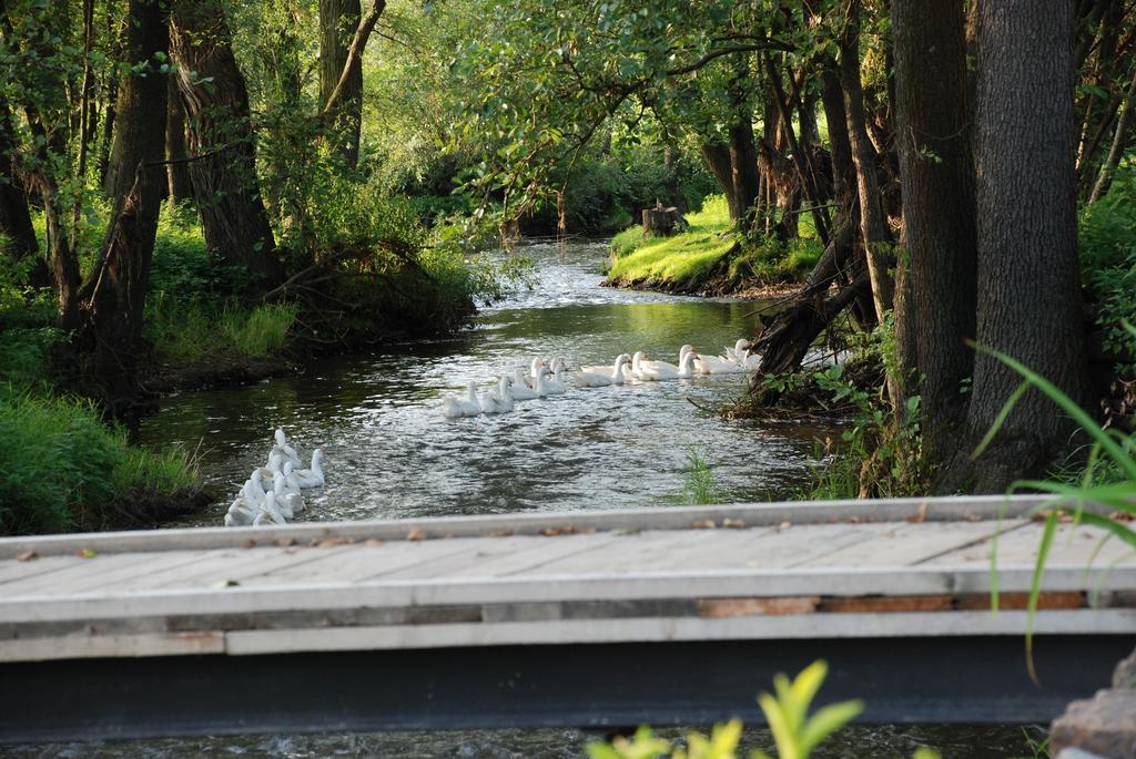 Biofarma Dolejsi Mlyn Villa Kamberk Buitenkant foto