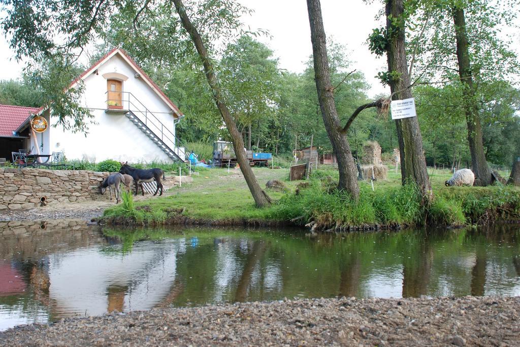 Biofarma Dolejsi Mlyn Villa Kamberk Buitenkant foto