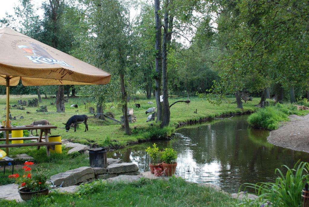 Biofarma Dolejsi Mlyn Villa Kamberk Buitenkant foto