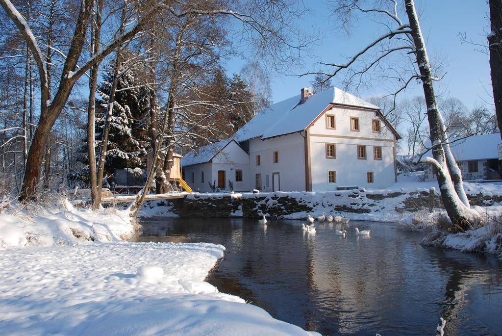 Biofarma Dolejsi Mlyn Villa Kamberk Buitenkant foto