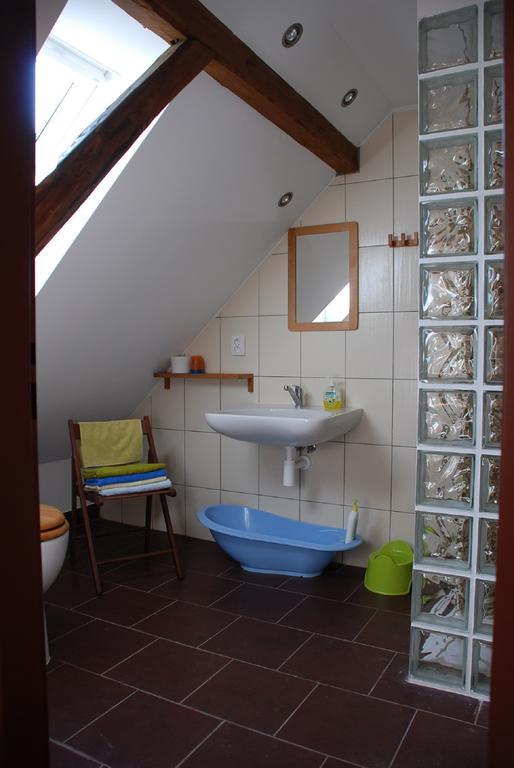 Biofarma Dolejsi Mlyn Villa Kamberk Kamer foto